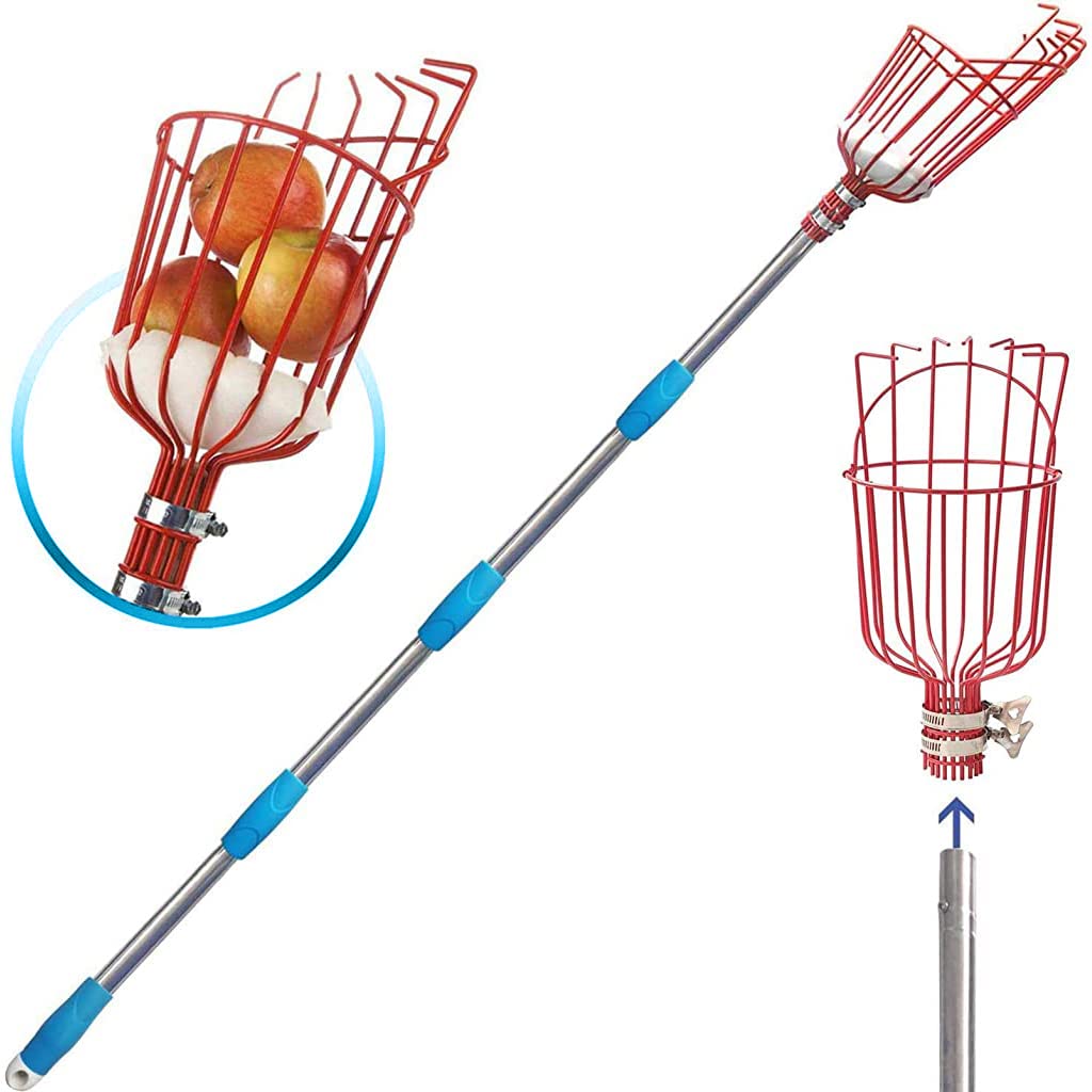 HASTHIP® 190cm Fruit Picker with Basket and Telescopic Pole, Fruit Plucker for Coconut, Mango and More, Easy to Use Fruits Catcher Tree Picker HASTHIP® 190cm Fruit Picker with Basket and Telescopic Pole, Fruit Plucker for Coconut, Mango and More, Easy to Use Fruits Catcher Tree Picker